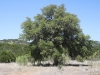Camp Hamman_20